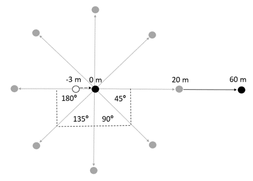 The Effect of Movement Speed and Angle on Dynamic Stress Load - STATSports